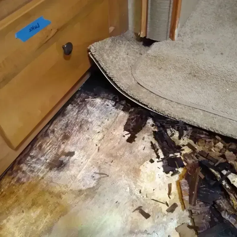 Wood Floor Water Damage in Clarke County, VA